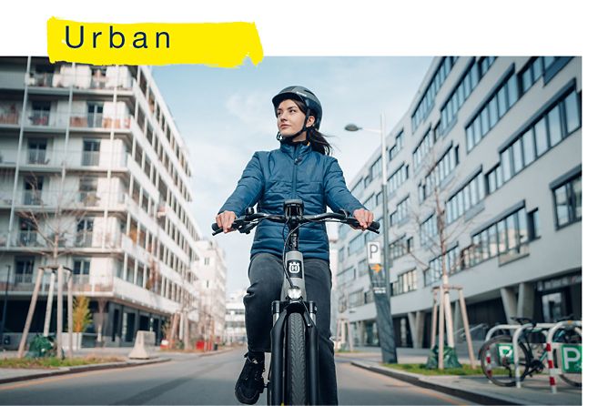 Two Wheel Beach Snow Speed Electric Bike Power Assist Mountain Bicycle Market Expectation
