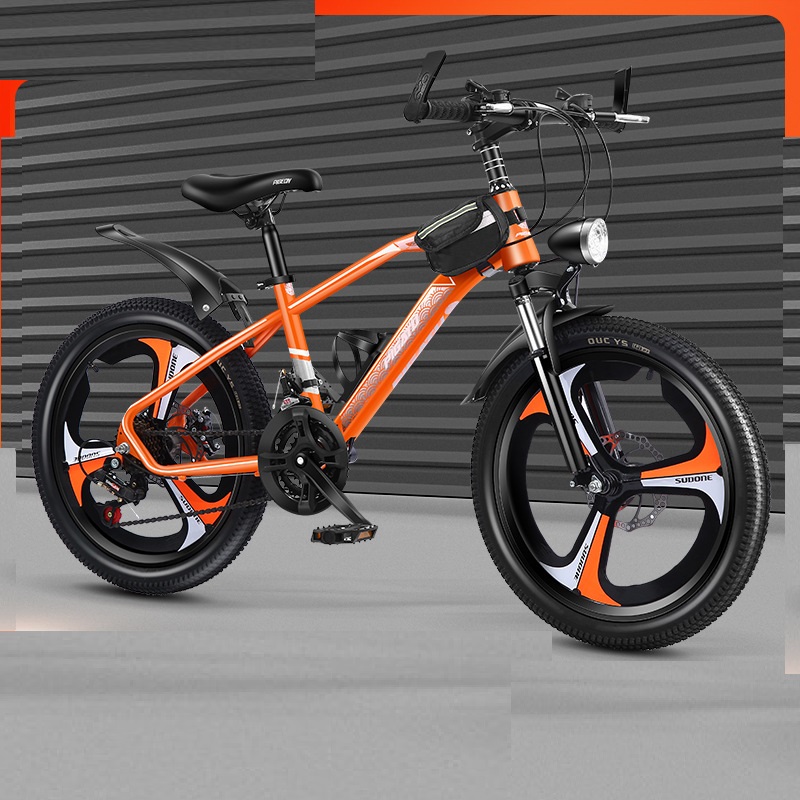 Portable Foldable Aluminum Alloy Mountain Hike Bike 21 Speed Disc Brake Gear Bike Children Bicycle