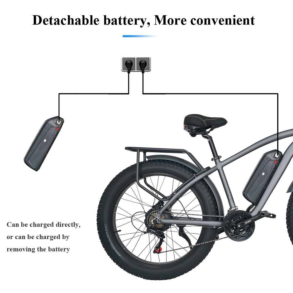 Electric Snow Mountain City Bike Beach Electric Power Assist Bicycle With Integrated Wheel Fat Tire Ebike With Removable Battery
