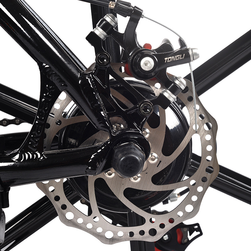 Fat Tire Cycling Ebike Adult Speed Off Road Power Assist Bicycle Outdoor Electric Mountain Bike
