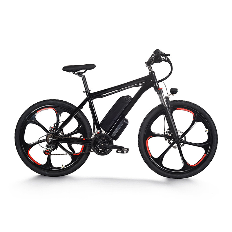 Fat Tire Cycling Ebike Adult Speed Off Road Power Assist Bicycle Outdoor Electric Mountain Bike