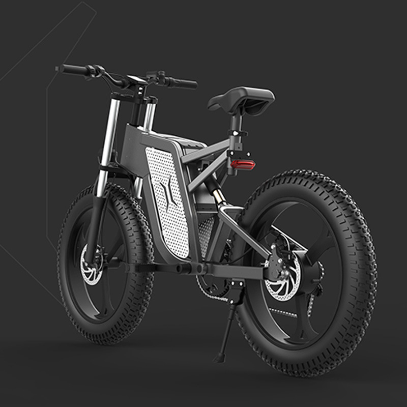 2000W Aluminum Alloy Speed Mountain Hike Adult Off Road Electric Vehicle Snow Sand Electric Bicycle