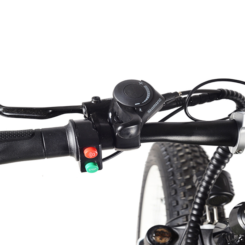 Anti Skid Wear Resistant 2000W Aluminum Alloy Speed Mountain Hike Adult Off Road Electric Vehicle Snow Sand Electric Bicycle