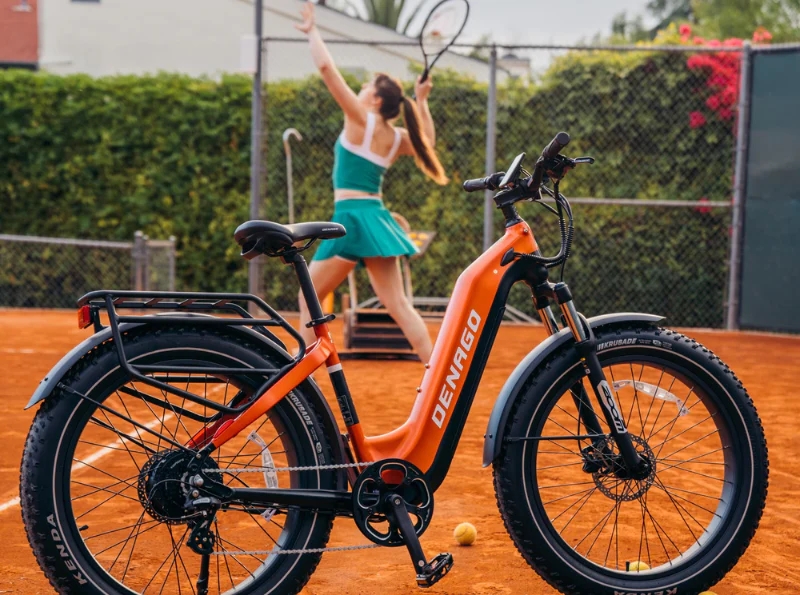 Distinguish The Quality Of Men Electric Mountain Bike