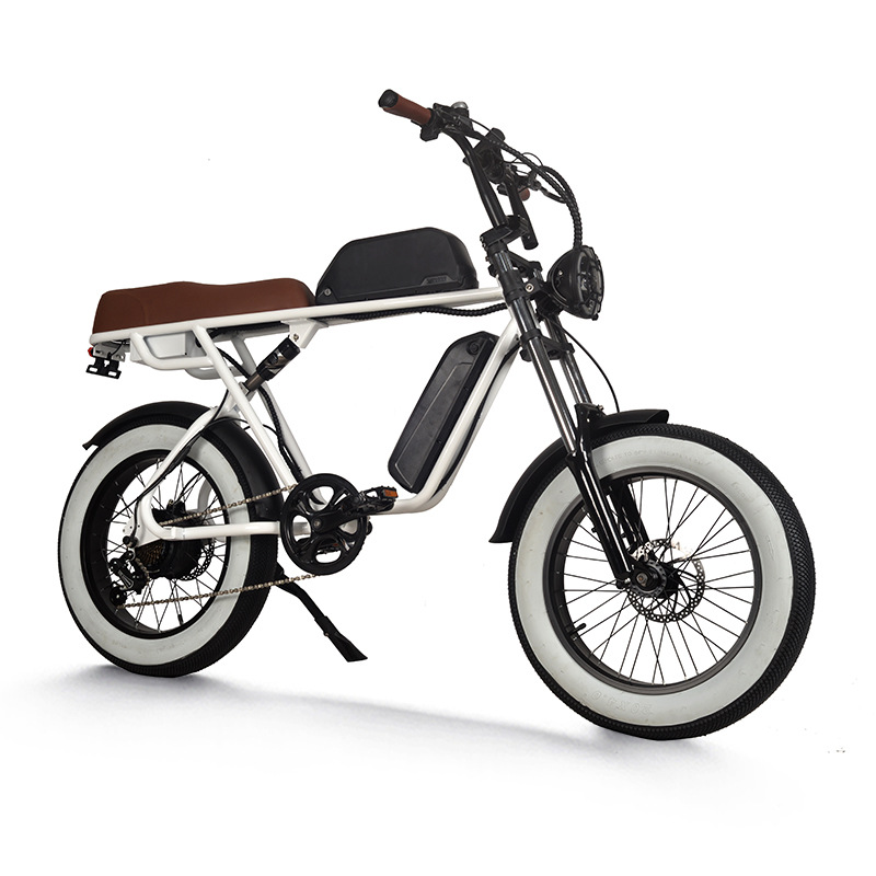 Pedelec Electric Bicycle with Hydraulic Disc Brake Retro Snow Off Road Electric Bike Power Assist Mountain Bike