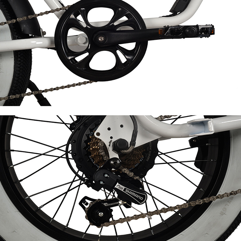 Pedelec Electric Bicycle with Hydraulic Disc Brake Retro Snow Off Road Electric Bike Power Assist Mountain Bike