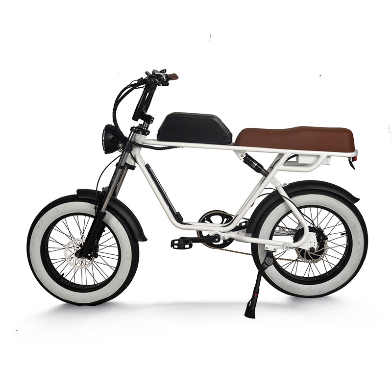 Pedelec Electric Bicycle with Hydraulic Disc Brake Retro Snow Off Road Electric Bike Power Assist Mountain Bike