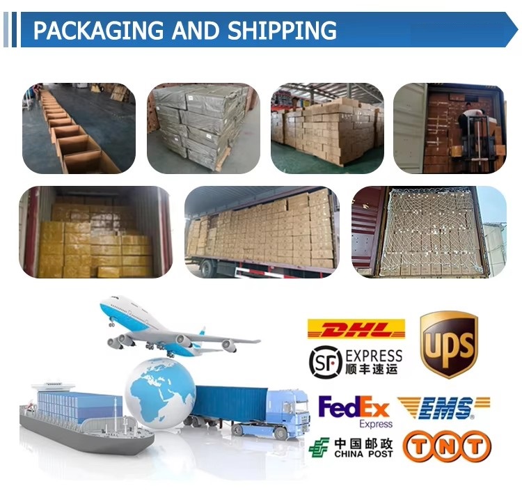 Factory Direct Supply Land Surfboard CX4 Four Wheel Pedal Free Simulation Surfing Skiing Land Surfing Teaching Basic Board Skateboard
