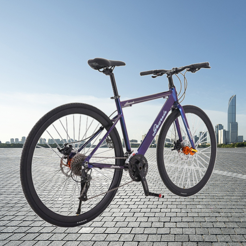 Adult Factory Wholesale Luxury Aluminum Alloy Oil Brake Off Road Speed Variable Sport Race Bike