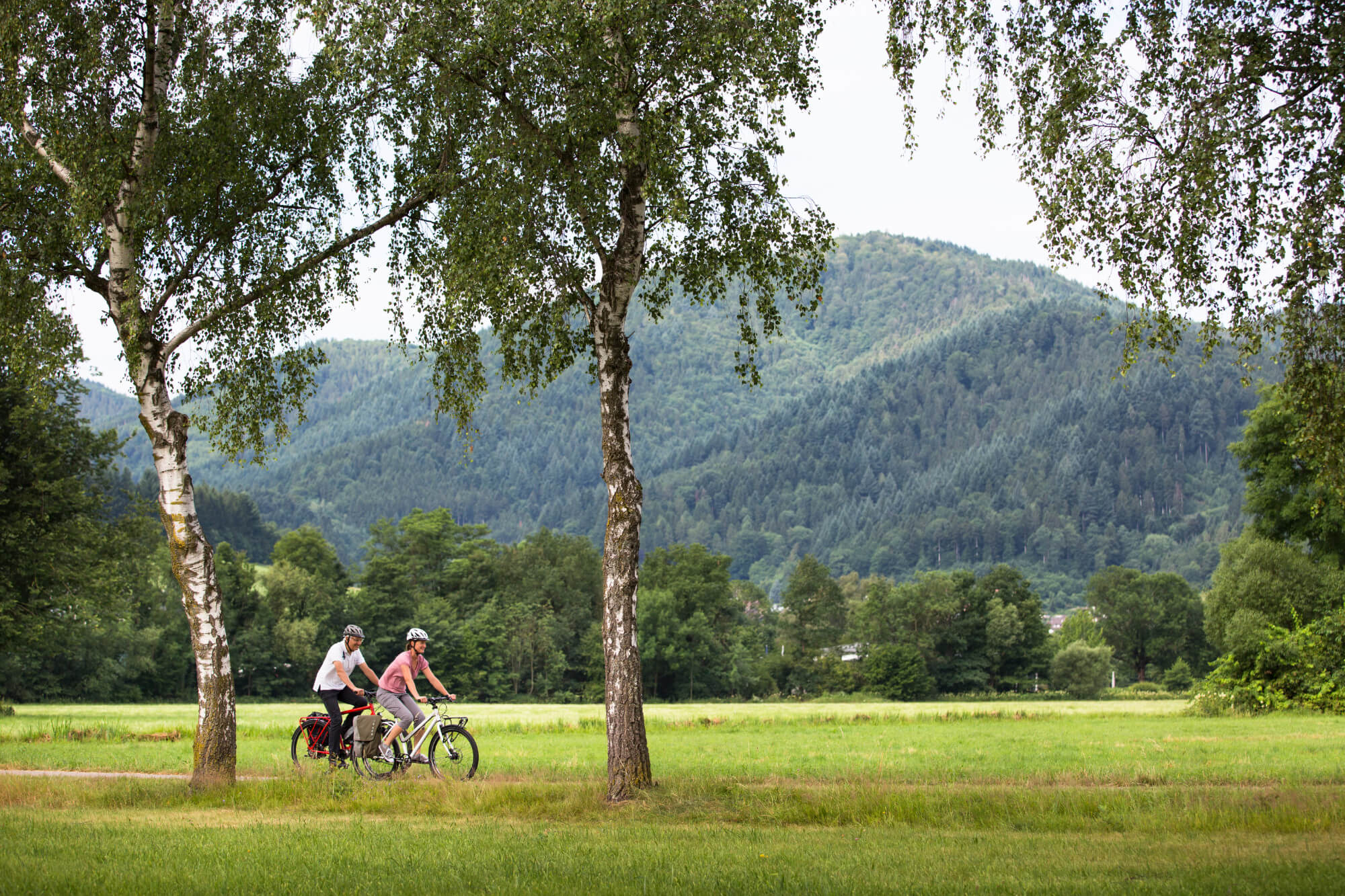 The All New Gravel Bike Featured Information:
