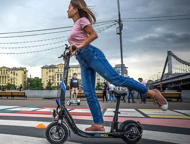 Pedelec Electric Scooter Reputable Front Suspensions Provide A Smooth Ride Over Road Bumps