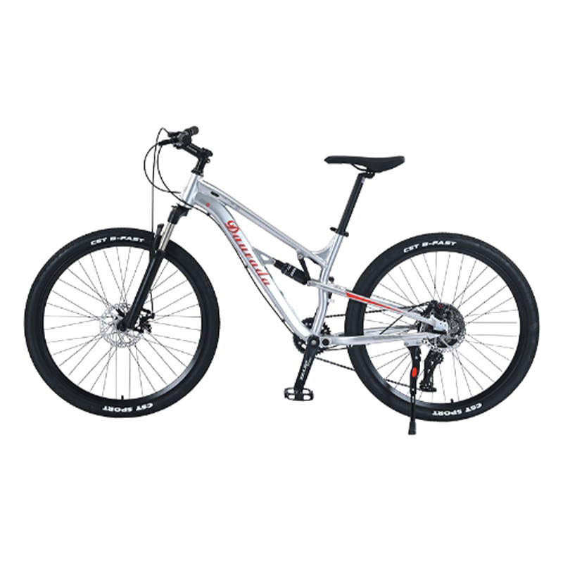 Aluminum Alloy Soft Tail Double Shock Absorption 10 Speed Bicycle Off Road Mountain Bike