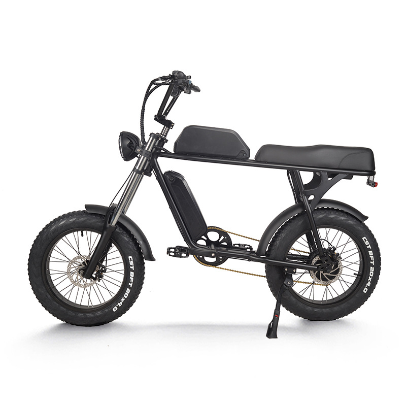 20 Inch Electric Bicycle For Adults Power Assist Off Road Mountain Bike With Lithium Battery For Shock Absorption