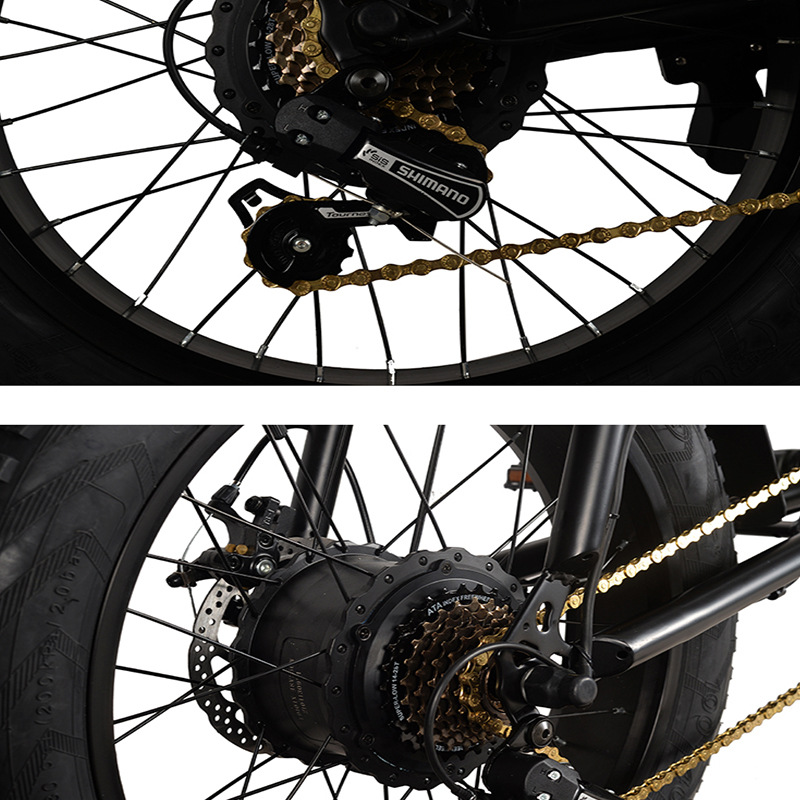 20 Inch Electric Bicycle For Adults Power Assist Off Road Mountain Bike With Lithium Battery For Shock Absorption
