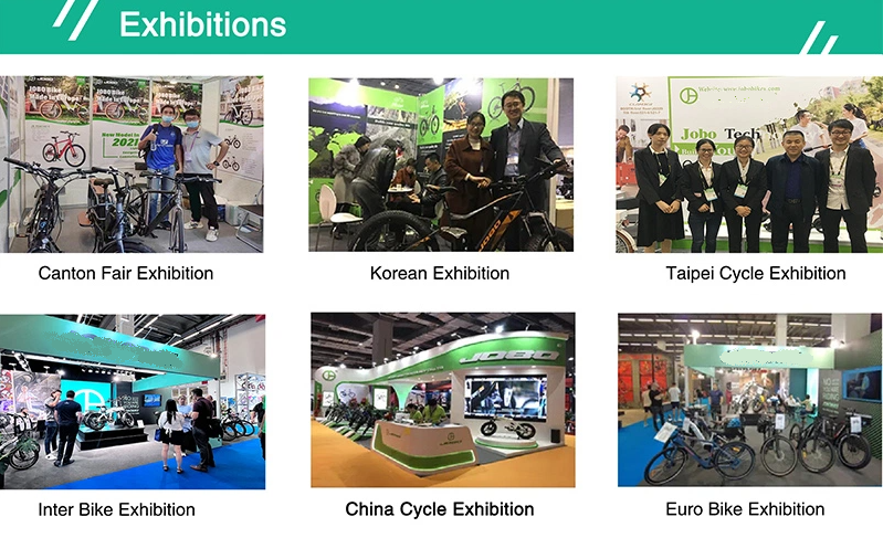 Battery Folding Electric Bicycle 16 Inch Scooter Power Assist Electric Motorcycle Electric Vehicle