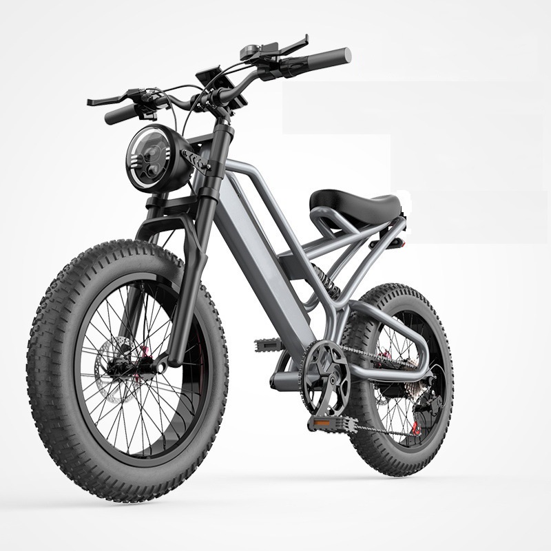20 Inch Anti Skid Electric Bicycle For Adults Power Assist Off Road Mountain Bike With Lithium Battery For Shock Absorption