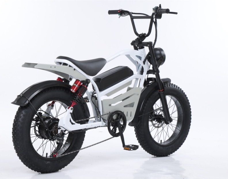 20 Inch Aluminum Alloy Front Rear Motorcycle With Hydraulic Brakes Extended Seat Snow Thick Tires Retro Style Bicycle