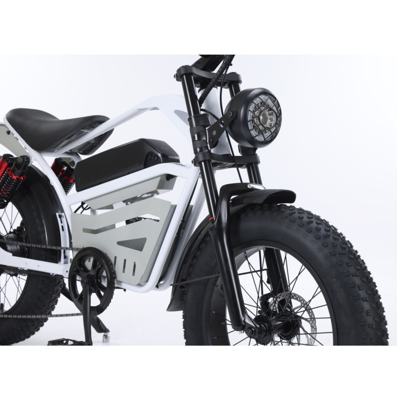 20 Inch Aluminum Alloy Front Rear Motorcycle With Hydraulic Brakes Extended Seat Snow Thick Tires Retro Style Bicycle
