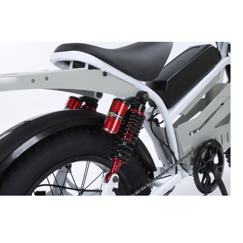 20 Inch Aluminum Alloy Front Rear Motorcycle With Hydraulic Brakes Extended Seat Snow Thick Tires Retro Style Bicycle