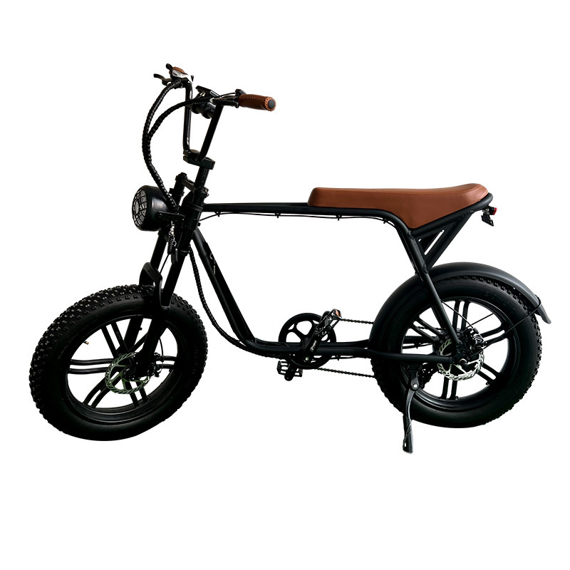 Aluminum Alloy Power Assist Electric Bicycle Disassembly Pedal Shock Absorption Front Fork Portable Off Road Mountain Bike Lithium Battery Motor