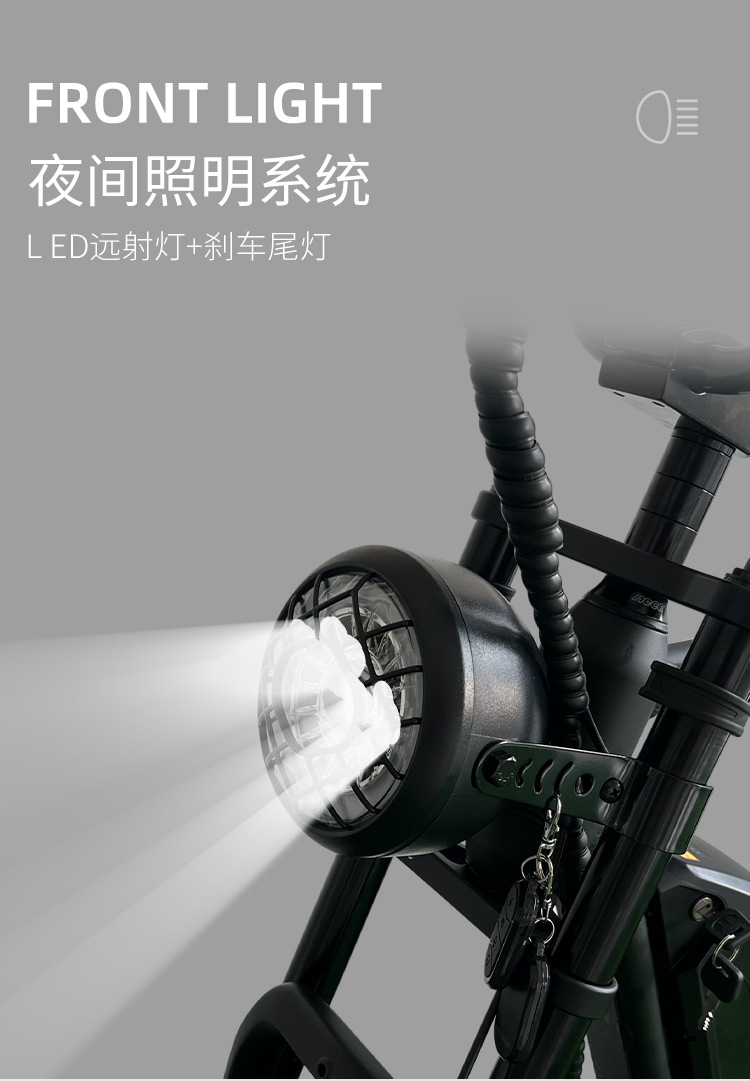 Aluminum Alloy Power Assist Electric Bicycle Disassembly Pedal Shock Absorption Front Fork Portable Off Road Mountain Bike Lithium Battery Motor