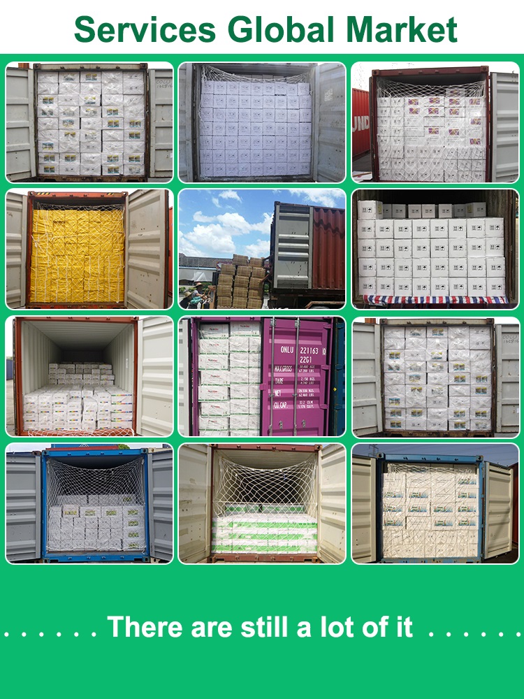 Portable Motor Snowmobile Electric Bike Aluminum Alloy Power Assist 750W Thumb Throttle Lithium Battery Bicycle