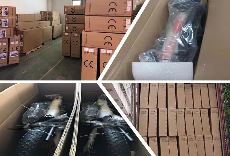 Portable Motor Snowmobile Electric Bike Aluminum Alloy Power Assist 750W Thumb Throttle Lithium Battery Bicycle