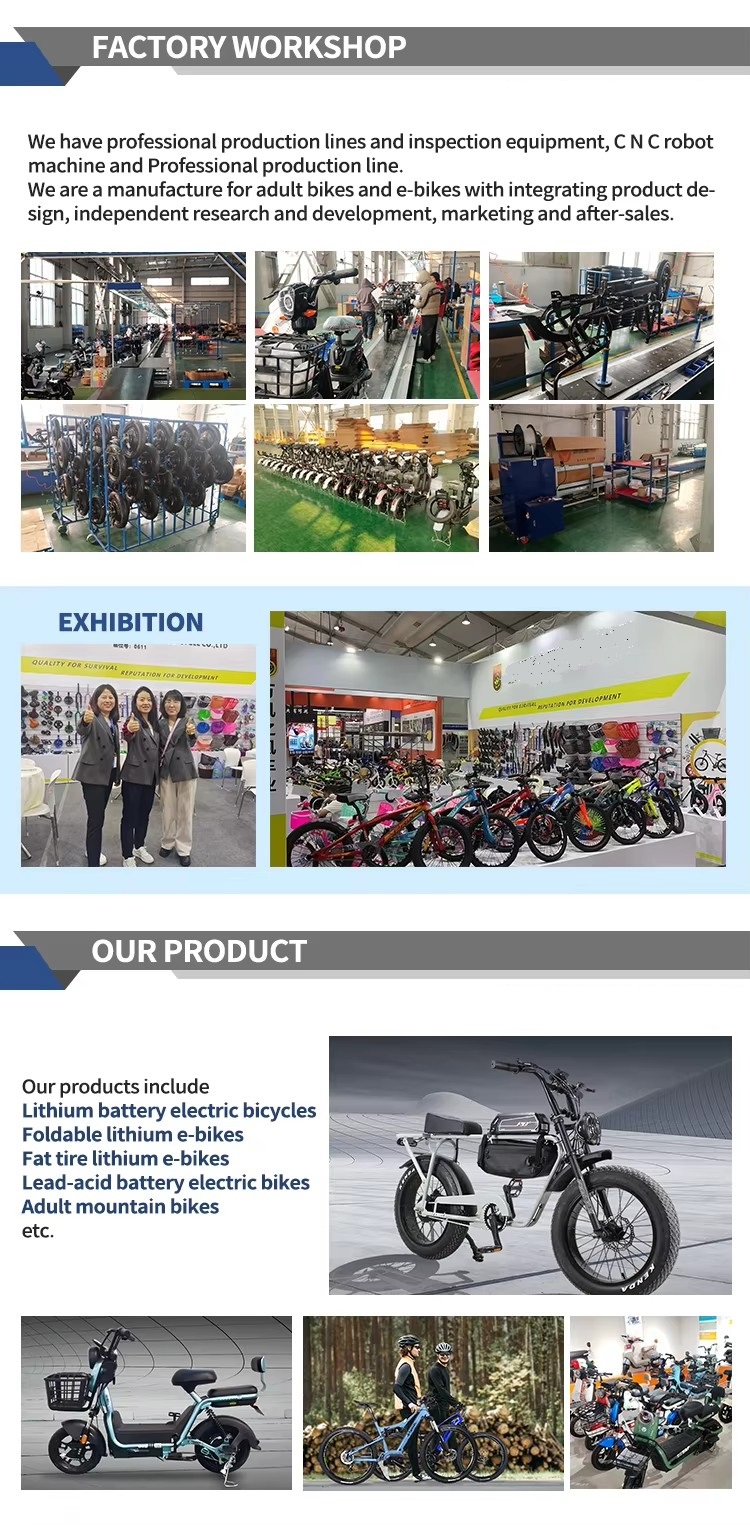 Portable Motor Snowmobile Electric Bike Aluminum Alloy Power Assist 750W Thumb Throttle Lithium Battery Bicycle