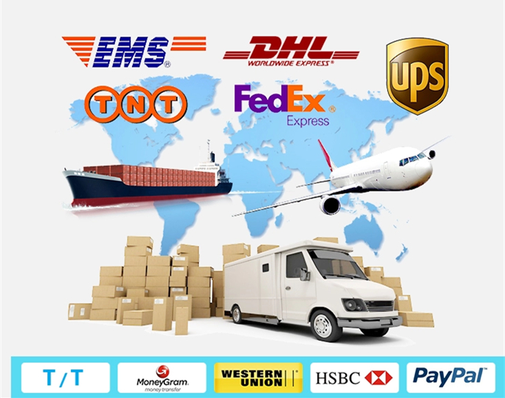 Cryogenic Globe Valve OEM Low Temperature Long Stem Stop Valve Gas Control Stainless Steel Welding Valve