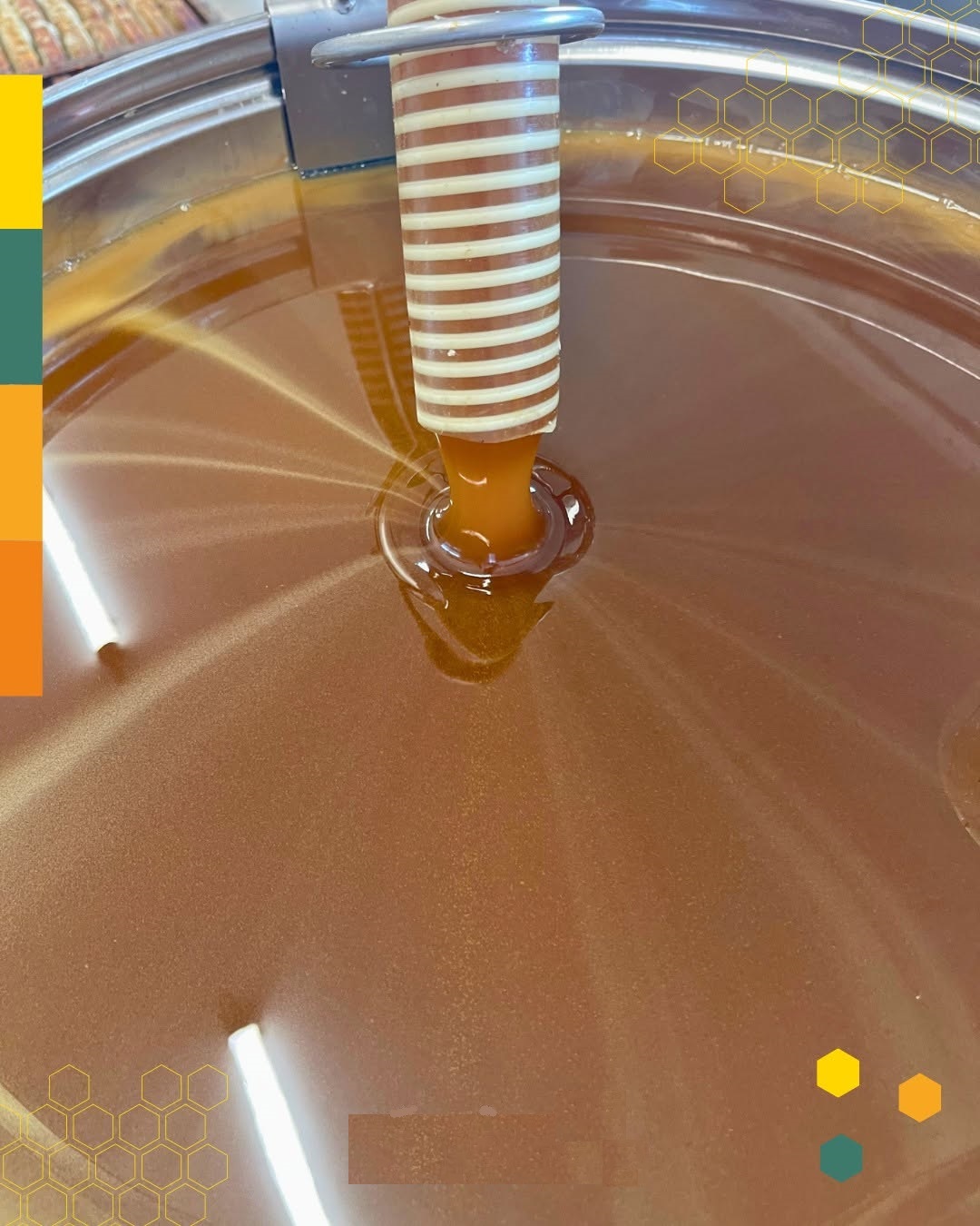 Bee Honey 100% Natural Longan Honey Bee Honey 100% Natural Longan Honey