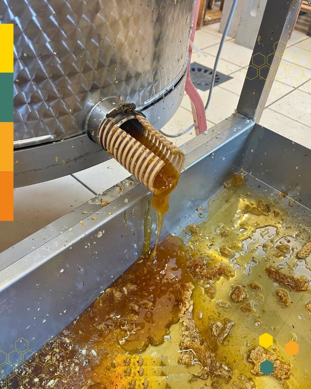 Delicious Pure Polyflower Honey Delicious Pure Polyflower Honey