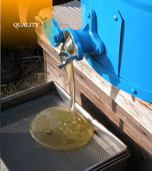 Nutrient Rich Natural Rapeseed Honey Nutrient Rich Natural Rapeseed Honey