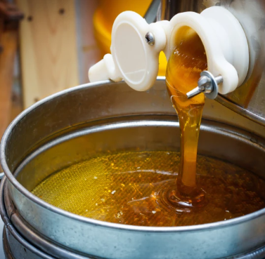 Bakery and Confectionery Applications of Honey in Food Manufacturing