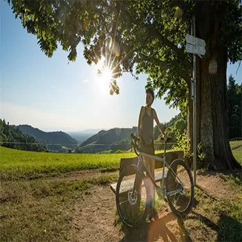 Start Mountain Gravel With Double Shock Absorption Mountain Bike