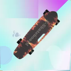Electric Skateboard Four Wheel Board Adult Street Children's Scooter