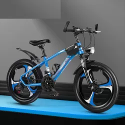 Portable Foldable Aluminum Alloy Mountain Hike Bike 21 Speed Disc Brake Gear Bike Children Bicycle