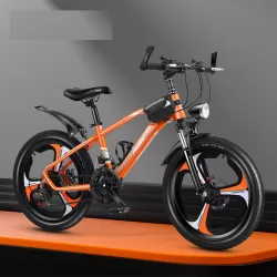 Portable Foldable Aluminum Alloy Mountain Hike Bike 21 Speed Disc Brake Gear Bike Children Bicycle
