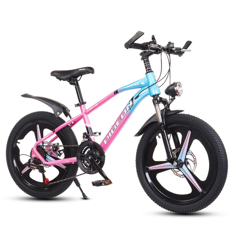 Portable Foldable Mountain Hike Bike 21 Speed Disc Brake Gear Bike Children Bicycle