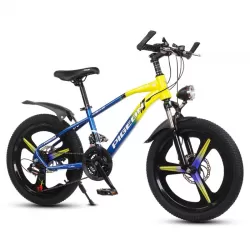 Portable Foldable Mountain Hike Bike 21 Speed Disc Brake Gear Bike Children Bicycle