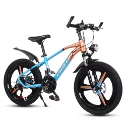 Portable Foldable Mountain Hike Bike 21 Speed Disc Brake Gear Bike Children Bicycle