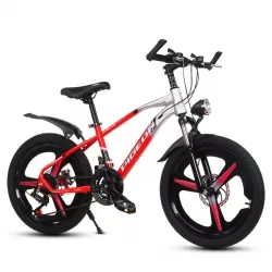 Portable Foldable Mountain Hike Bike 21 Speed Disc Brake Gear Bike Children Bicycle