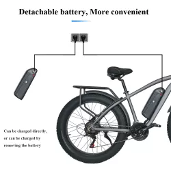Electric Snow Mountain City Bike Beach Electric Power Assist Bicycle With Integrated Wheel Fat Tire Ebike With Removable Battery