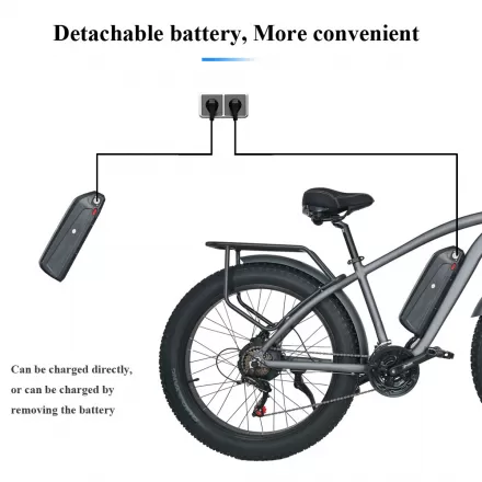 Electric Snow Mountain City Bike Beach Electric Power Assist Bicycle With Integrated Wheel Fat Tire Ebike With Removable Battery