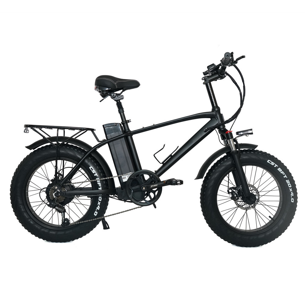 26 Inch Electric Bicycle With Hydraulic Disc Brake Vehicle  Mountain bike Power Assisted Speed Changing Vehicle With Lithium Battery