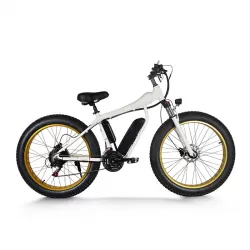 26 Inch Variable Speed Electric Bicycle With Hydraulic Disc Brake Vehicle  Mountain bike Power Assisted Speed Changing Vehicle With Lithium Battery