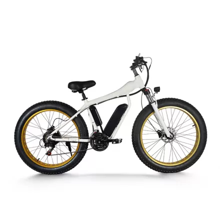 26 Inch Variable Speed Electric Bicycle With Hydraulic Disc Brake Vehicle  Mountain bike Power Assisted Speed Changing Vehicle With Lithium Battery