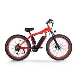 26 Inch Variable Speed Electric Bicycle With Hydraulic Disc Brake Vehicle  Mountain bike Power Assisted Speed Changing Vehicle With Lithium Battery
