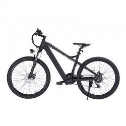 Hot Sale Adult Speed Electric Bicycle Mountain Hike Off Road Snowmobile Bike With Lithium Battery