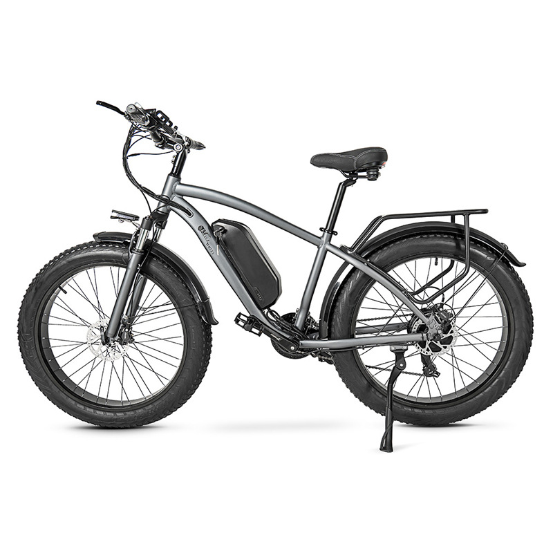 Adult Speed Off Road Power Assist Bicycle Outdoor Electric Mountain Bike