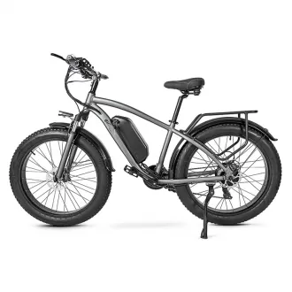 Adult Speed Off Road Power Assist Bicycle Outdoor Electric Mountain Bike